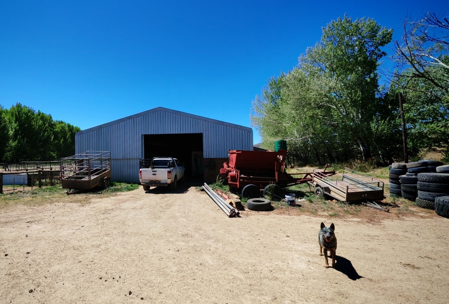 4 Bedroom Property for Sale in Middelburg Rural Eastern Cape
